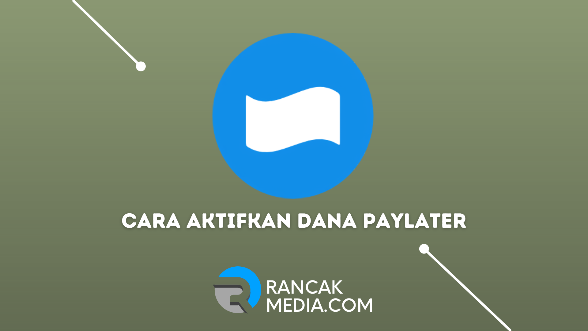Cara Aktifkan DANA Paylater Dengan Mudah