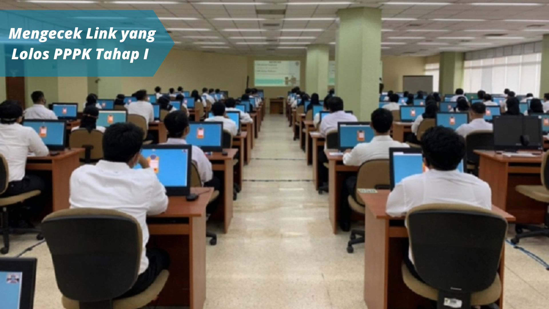173.329 Guru Honorer Lolos PPPK Tahap I Berikut Cara Mengecek dan Linknya