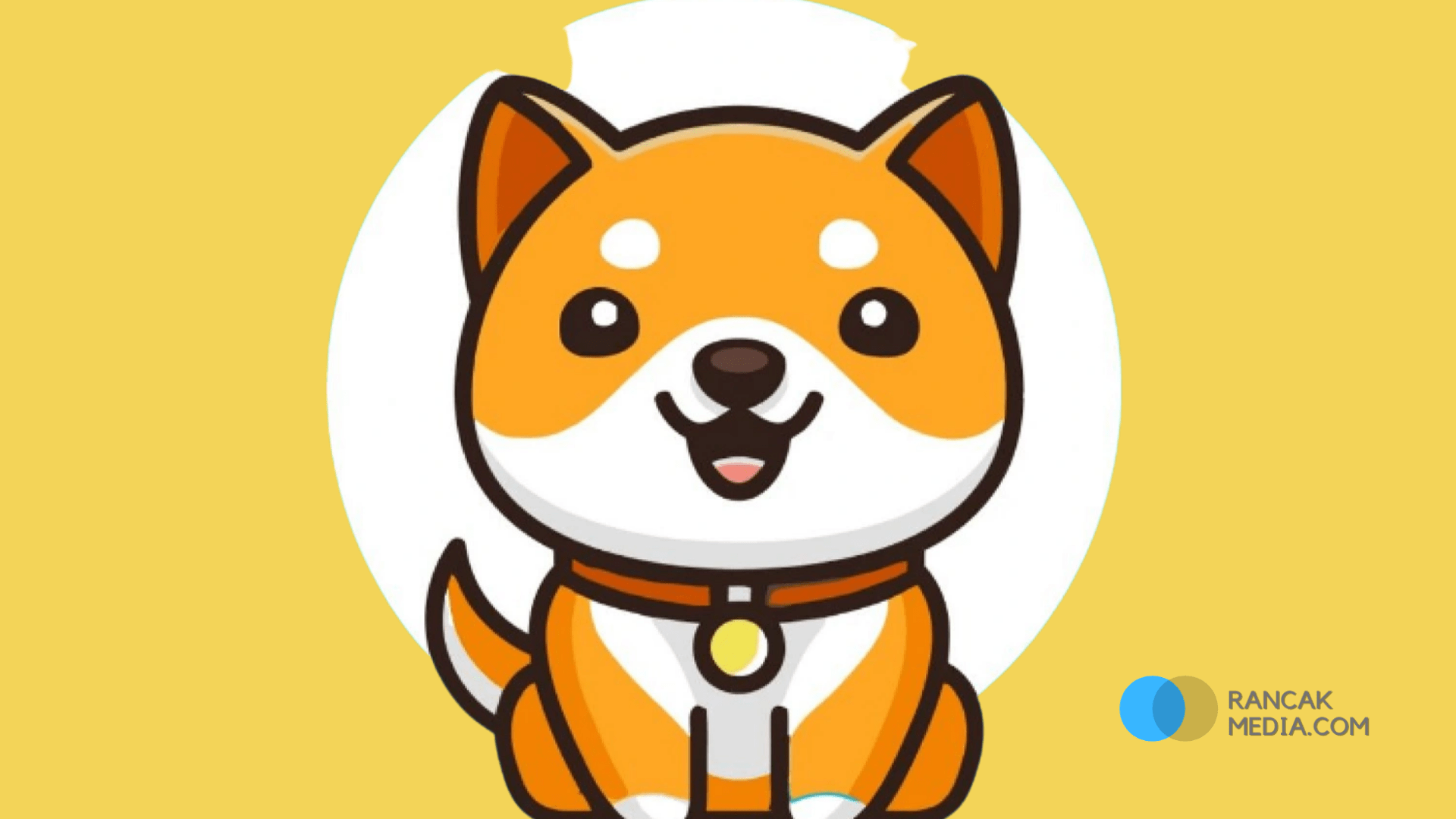 Prediksi Harga Baby Doge Coin Beserta Panduan Investasi Cryptocurrency