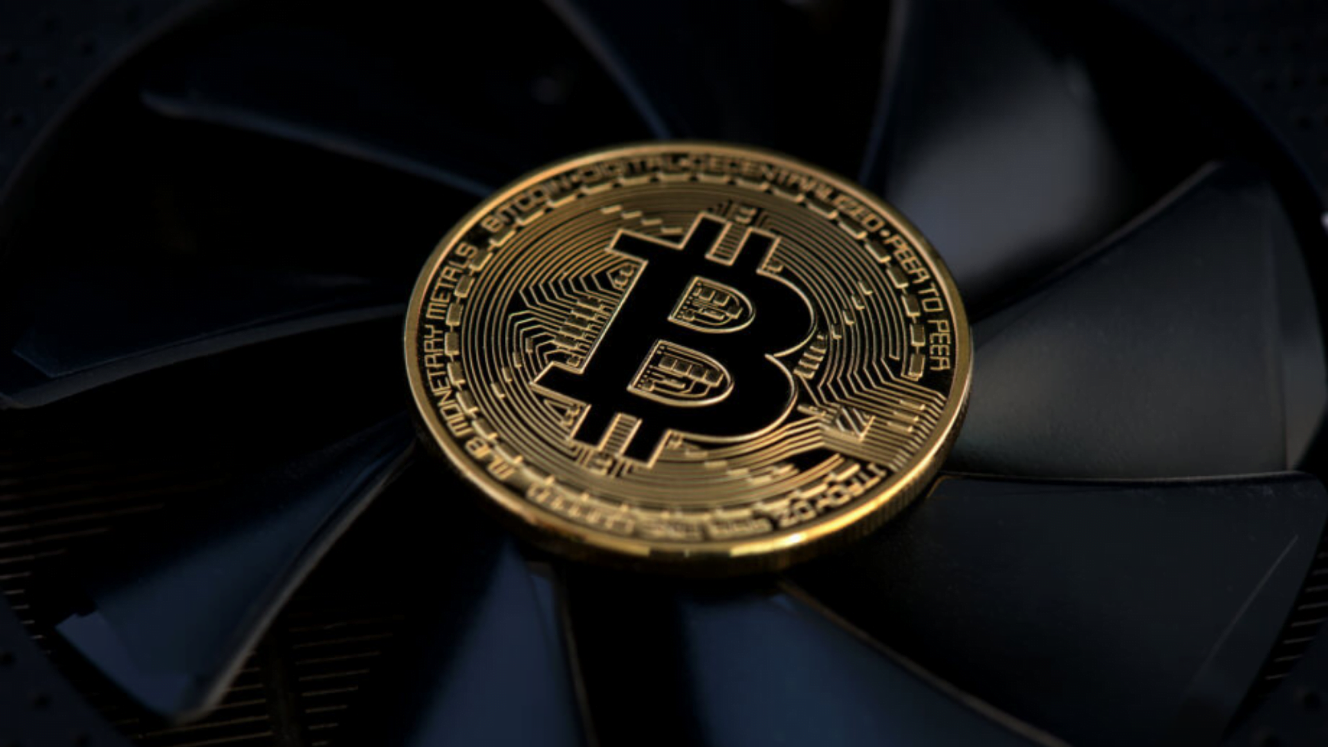 Mengenal Apa Itu FUD Dalam Dunia Crypto
