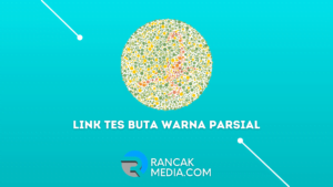 Link Tes Buta Warna Parsial dan Cara Mengatasinya